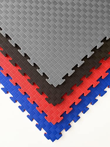 Pack Tatami Puzzle 100 x 100 x 2,5 cm, Esterilla Goma Fitness para Artes Marciales, Judo, Gimnasio, Suelo para Gimnasio 5 líneas, (Rojo/Azul, 3 Unidades (3 m²)) Cover