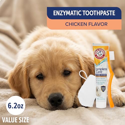 Image of Arm & Hammer Complete Care Puppy Dental Kit, Enzymatic Toothpaste with Baking Soda and Calcium for Dogs, Peanut Butter Flavor, Toothbrush and Microfiber Brush Included, Fluoride-Free, 2.5 Oz