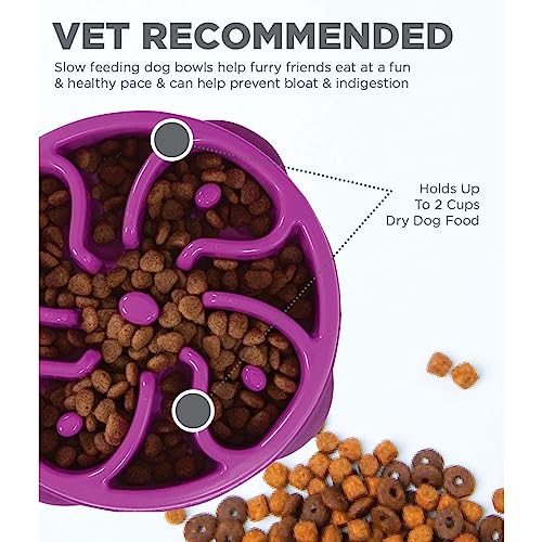 Outward-Hound-Fun-Feeder-Slo-Bowl-Slow-Feeder-Dog-Bowl-MediumMini-Purple