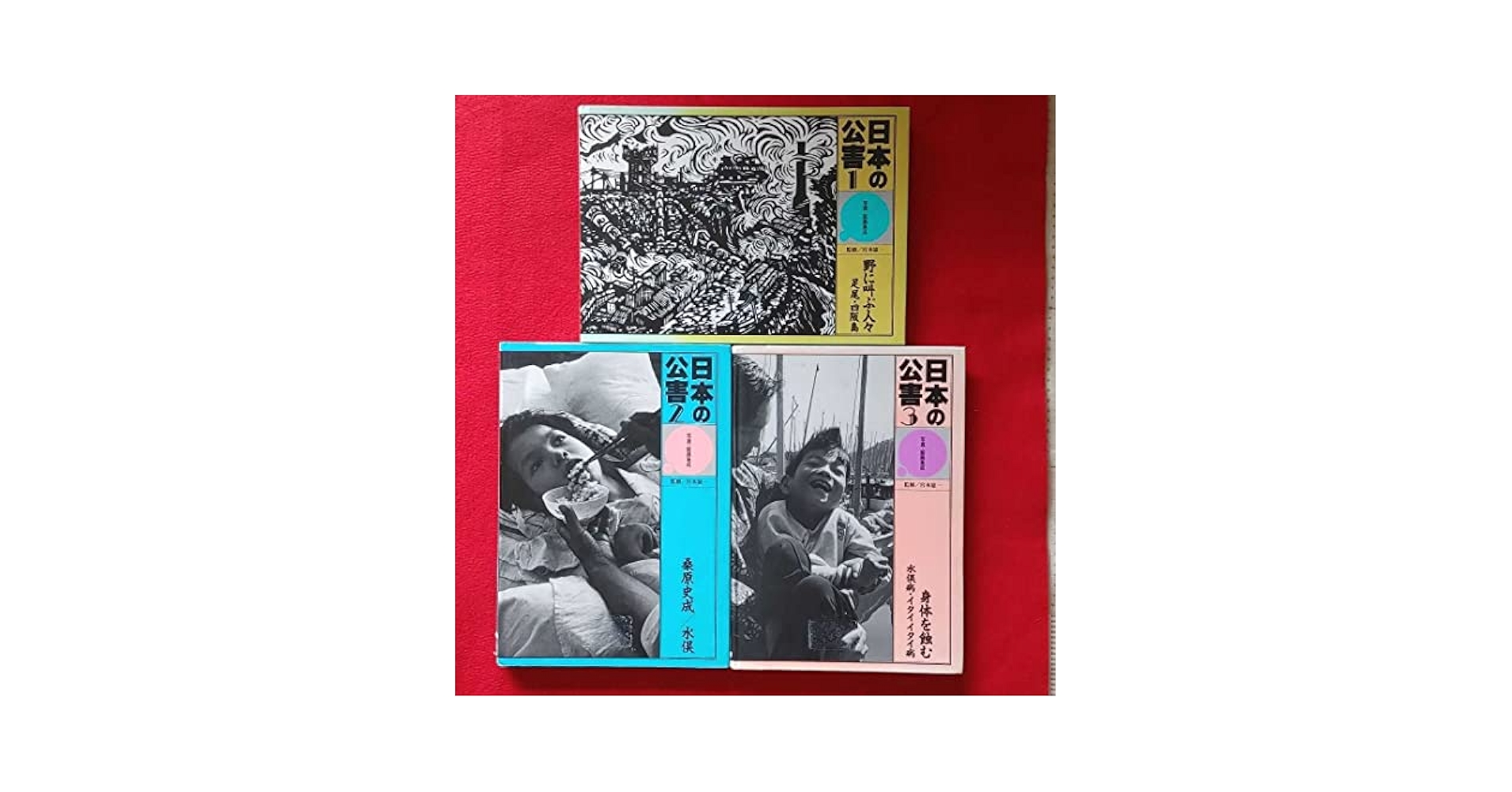 日本の公害 写真・絵画集成  /日本図書センタ-（大型本） Amazon.co.jp: ⇒!!! 日本の公害 写真絵画集成 1-3 全3冊セット