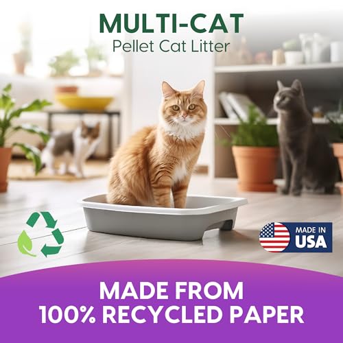 Image of Fresh News Multi-Cat Pellet Non-Clumping Paper Cat Litter, 25 Pound