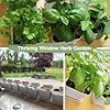 Indoor Herb Garden Kit – 10 Non-GMO Herb Seeds with Soil, Pots & Moisture Meter – Easy Windowsill Gardening Starter Set – Unique Gift for Gardeners, Home Chefs & Families #5