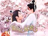 寵妃の秘密3~時空を結ぶ運命の約束~