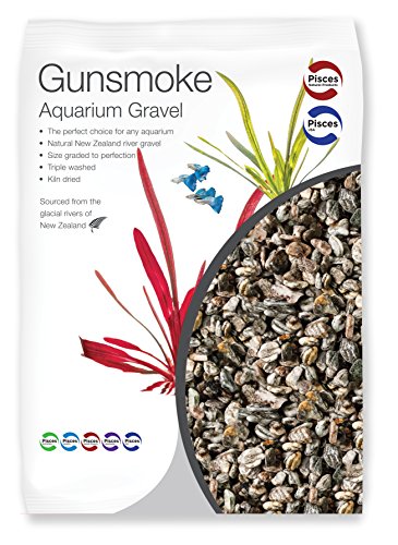 river rocks for betta