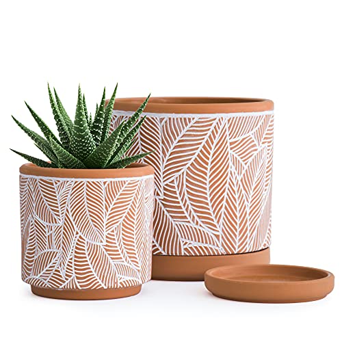 D'vine Dev Set of 2 Terracotta Pots, Leaves Pattern Planter