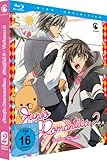 Junjo Romantica Staffel 2, Vol. 2 [Blu-ray]