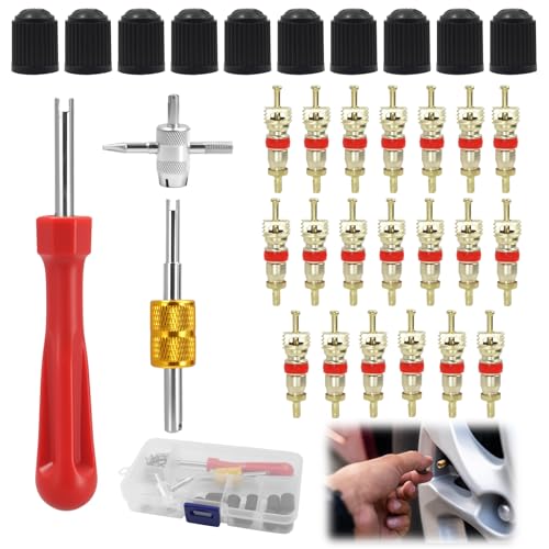 Eddrfy 33 Pcs Demonte Obus Valve Pneu,Kit Reparation Pneu Voiture, Inclut 20 Obus, 10 Bouchon Valve Pneu Voiture, 1 Valve Double Tête Outil,Simple 1Pc Outil Valve, Compatible avec Voiture, Moto, Vélo