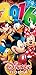 Disney Florida 2016 Fabulous Fireworks Beach Towel
