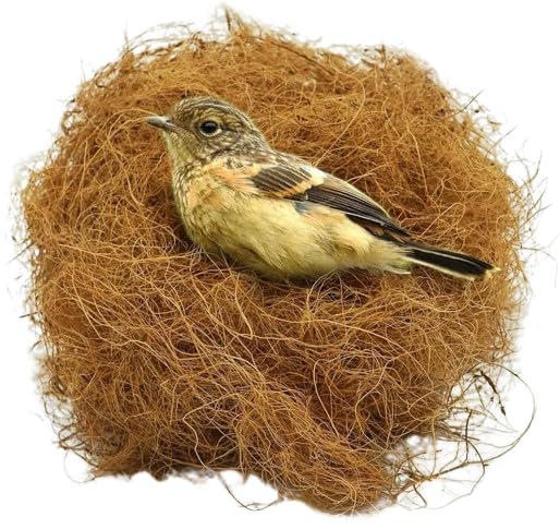 ZERO WASTE MANAGEMENT Coir Fiber for Eco-Friendly Gardening | Natural Soil Amendment - Sustainable & Biodegradable (500) (B0D41KJH7N) Amazon Price History, Amazon Price Tracker