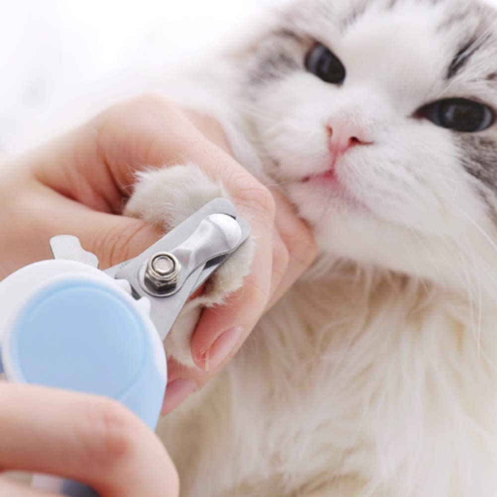 Cane e Gatti Animali Domestici Unghie Clippers Professionale Acciaio Inossidabile Unghie Trimmer, Strumento di toelettatura Professionale for Tiny Dog Cat Bunny Rabbit Bird Bird Puppy Kitten