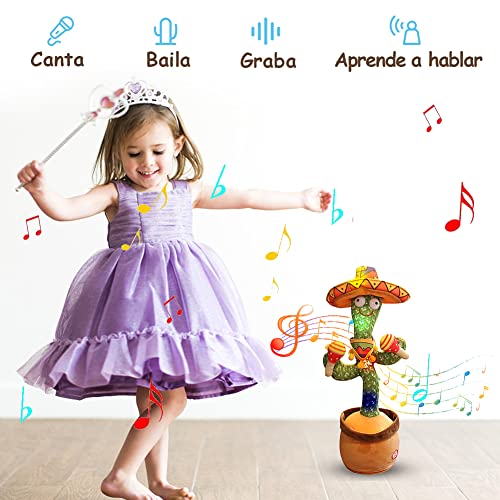 Listado y reviews de Cactus viejito precio los mejores 5. 5 Imagen adicional
