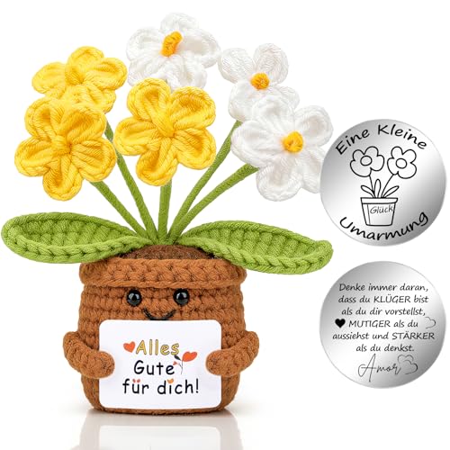 Mwmoeen Glücksbringer Geschenk Gestrickte Blumen, Pocket Hug Positive Strickwolle Blumen Puppe und Kleine Umarmung Glücksbringer, Mutmacher Gute Besserung Einschulung Geschenk ﻿