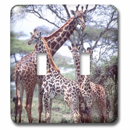 Double interrupteur Girafe David Northcott 3dRose finition premium