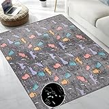 QH Colorful Cats Pattern Glow in The Dark Area Rug Area Rug for Living Room Bedroom Kids Room Size 5'x6'