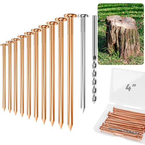 UCandy 4" Copper Nails for Killing Trees Stump Root, 10 Pack Copper Nails with Drill, Stump Removal Spikes Hardware Nails for Trees
