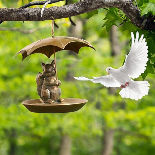 Mangeoire pour écureuil durable protégeant les graines de la pluie fine