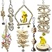 Chikanb Juguetes de Loro de Madera, 8 Piezas Juguetes de Jaula de Pájaros, Jaula Pajaros Bite Toy para Periquitos, Cockatiels, Cacatúas, Conures, Pinzones, Pájaros del Amor, Agapornis