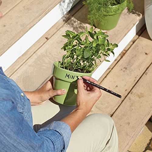 Sharpie Lápis de graxa destacáveis da China, preto, caixa com 12