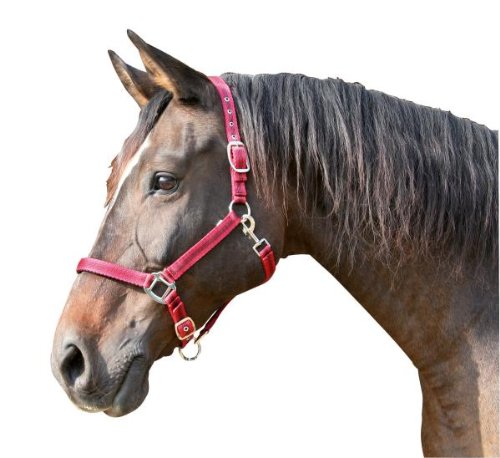 Kerbl Cavezza Mustang Regolabile in 2 Posizioni, Rosso/Nero, 2, 321966