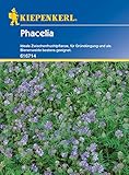 Phacelia ist fruchtfolgeneutral, d.h. Phacelia kann vor jeder gärtnerischen Kultur ausgesät werden.