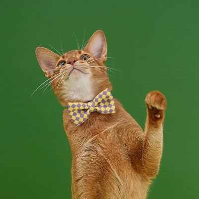 ZEZE Pet Bow Tie, Cat, Dog, Polyester, White, Plaid Pattern (Yellow)