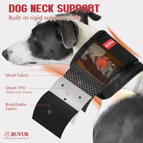 Image of Adjustable Dog Neck Brace for Neck Pain & Injury Relief - Soft & Comfortable Support Collar for Dogs for Recovery After Surgery or Injury(Small)