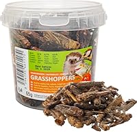 UGF - Getrocknete Heuschrecken 500ml Eimer, Heuschrecken Insekten, Reptilienfutter, Nagetierefutter, Igelfutter, Eidechsenfutter, Vogelfutter Wildvögel Ganzjährig, Fischfutter