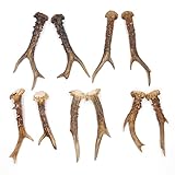 gehirntumor test GTK Geweihe & Trophäen Krumholz ist seit über 30 Jahren Ihr Ansprechpartner für Jagdtrophäen, Zubehör und jagdliche Accessoires