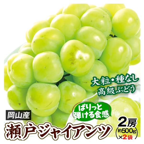 Amazon.co.jp: ぶどう 2房 瀬戸ジャイアンツ 岡山産 約500g×2房 食品