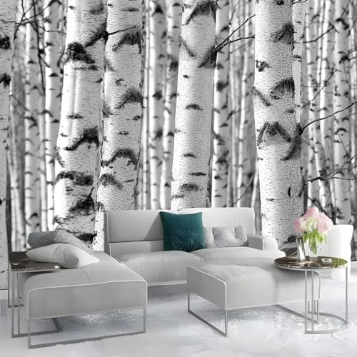 Papier Peint Bouleau Grand Format Intissé pour Murs Imparfaits - 6