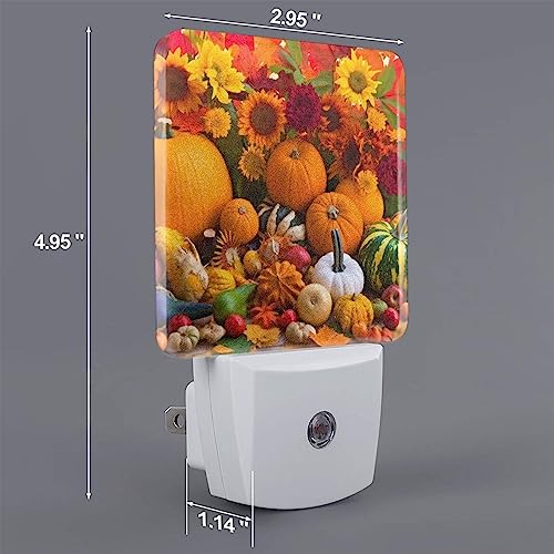 Image of Fall Pumpkin Fruits Night Light Set of 2, Thanksgiving Auto Sensor LED Dusk-to-Dawn Nightlights, Plug-in Sensor Lamp for Bedroom Bathroom Kitchen Hallway Stairs Decorative