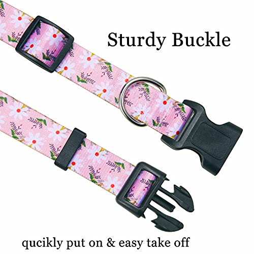 Mihqy Dog Collar for Small Dogs Cute Small Medium Large Dog Pet Collar Cat Collar, with Floral Patterns - Image 4