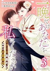 一晩だけあなたを私にください～エリート御曹司と秘密の切愛懐妊～3巻 (Berry's COMICS)