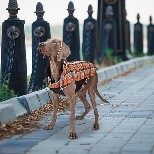 Casaco de inverno para cães | Jaqueta de inverno aconchegante à prova de vento à prova de vento – Ja