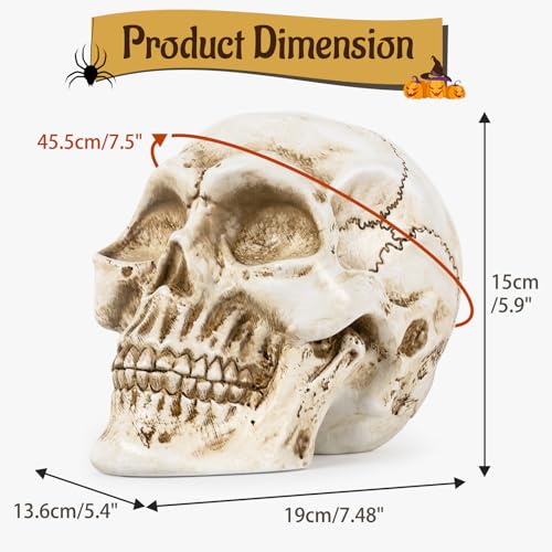 Estatua de Calavera de Resina para Decoración Hogar miniatura 2