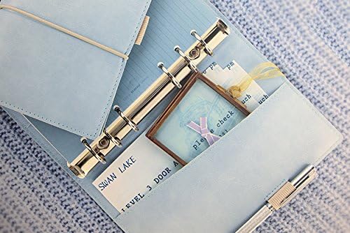 Filofax A5 Domino Soft Organiser,2020, Pale Blue