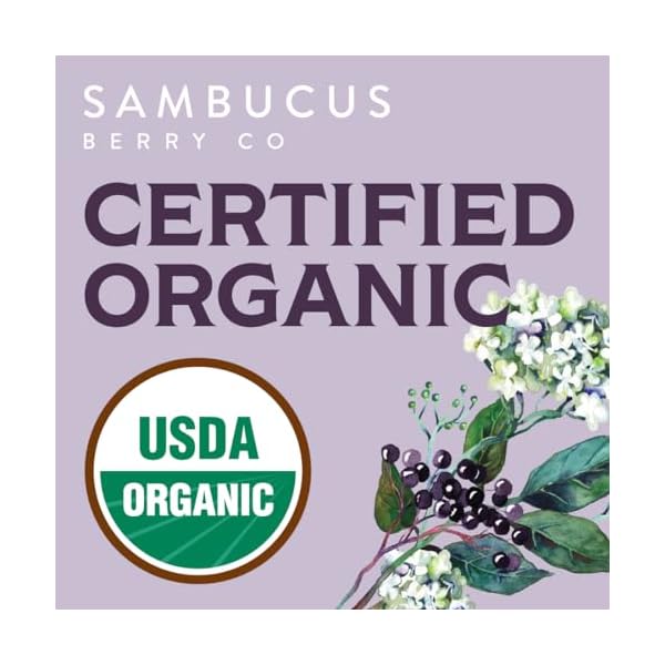 Waterglider-International-Organic-Elderberries-1-lb Waterglider-International-Organic-Elderberries-1-lb