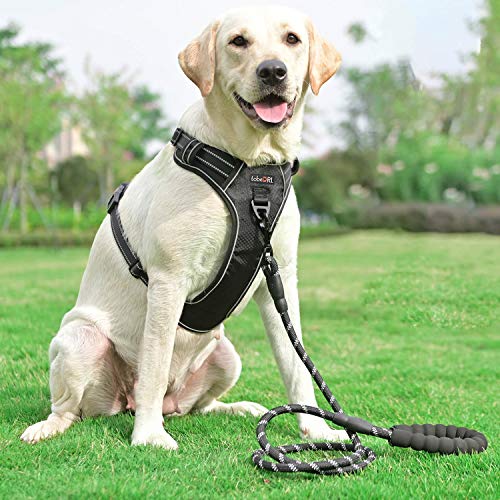 tobeDRI No Pull Dog Harness Adjustable Reflective Oxford Easy Control Medium Large Dog Harness with A Free Heavy Duty 5ft Dog Leash, Black/Red, L by tobeDRI - Used condition - Image 4