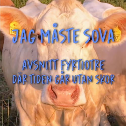Episod 43 - Där tiden går utan skor