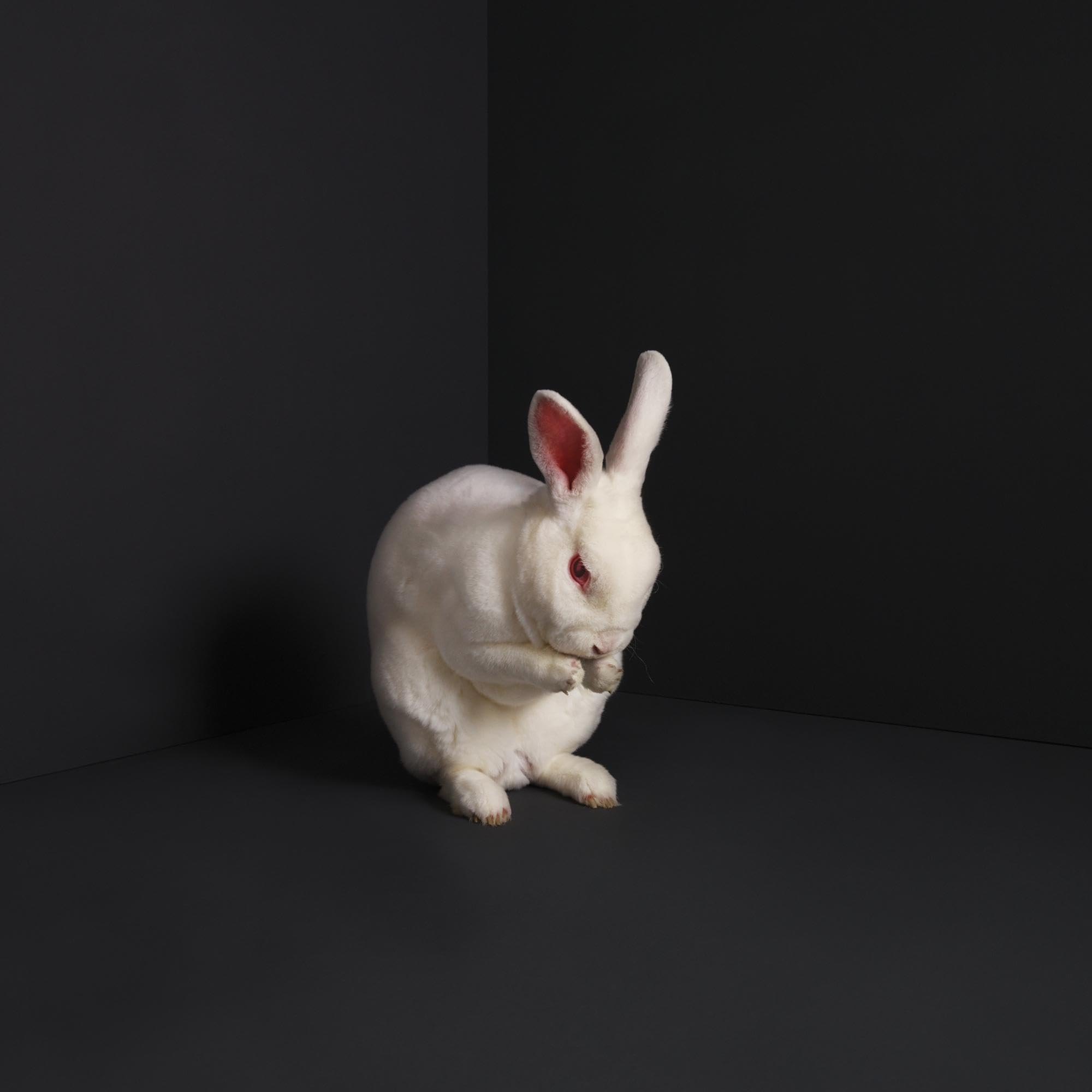 Rabbits [VINYL]