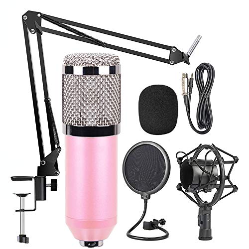 Microphone LLD BM-800 rose sans fil avec deux micros et haut-parleur Bluetooth