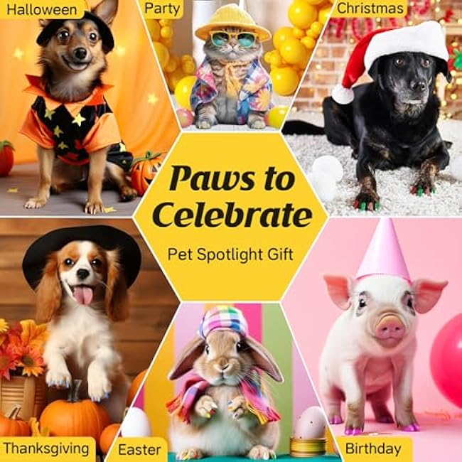 Dog Nail Polish Pens Quick Dry,12 Colors Safe Dog Nail Polish Set to DIY Pretty Nails, Ideal Gifts for Dogs Cats Light Dark Nails, Odorless, Non-Toxic, Water-Based Pet Nail Accessories Set-GpwqqZ8C