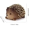 Product Photo 8