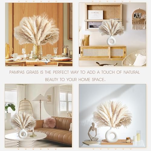 70PCS Natural Dried Pampas Grass Boho Home Decor Bouquet Phragmites Dried Flowers Bouquet for Wedding Floral Arrangements Home Decorations (70PCS) - Image 4