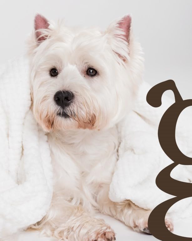 Listado de Shaggy blanco Top 10. 26 Imagen adicional