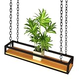 Facile da installare: il processo di installazione è semplice e include tutto l'hardware necessario per un montaggio sicuro su soffitti o cemento. Perfetto per migliorare il tuo spazio con il minimo sforzo. Ideale per chi cerca una configurazione senza problemi in varie impostazioni. Goditi una perfetta integrazione con l'arredamento della tua casa o dell'ufficio.