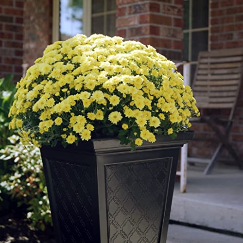 Image of FCMP Outdoor Casablanca Self-Watering Planter (2-Pack) - Set of 2 Large Planters for Porch, Patio, Outdoor /Indoor (MOD-CP3000-BLK-2) Black (24-inch Tall)