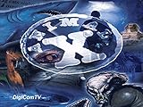 Animal-X