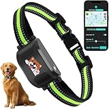 GPS + Wireless Dog Fence & Training Collar – No Subscription, App Geo-Fence 3280ft, 60-164ft Bluetooth Training, 3 Correction Modes, Auto Sleep/Wake, 7-Day Battery, 3-Dog Support