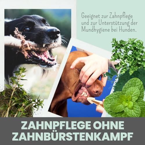 noms+ Dentalmix - Zahnpflege Pulver für Hunde – Natürliches Mittel gegen Zahnstein, Plaque & Mundgeruch Hund – Effektive Zahnreinigung gegen Zahnbelag bei Hunden